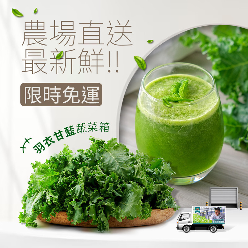 【限時免運】羽衣甘藍蔬菜箱